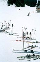 выбор горных лыж 